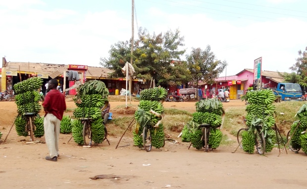 Groen Reis - Dave in Uganda Ep 3